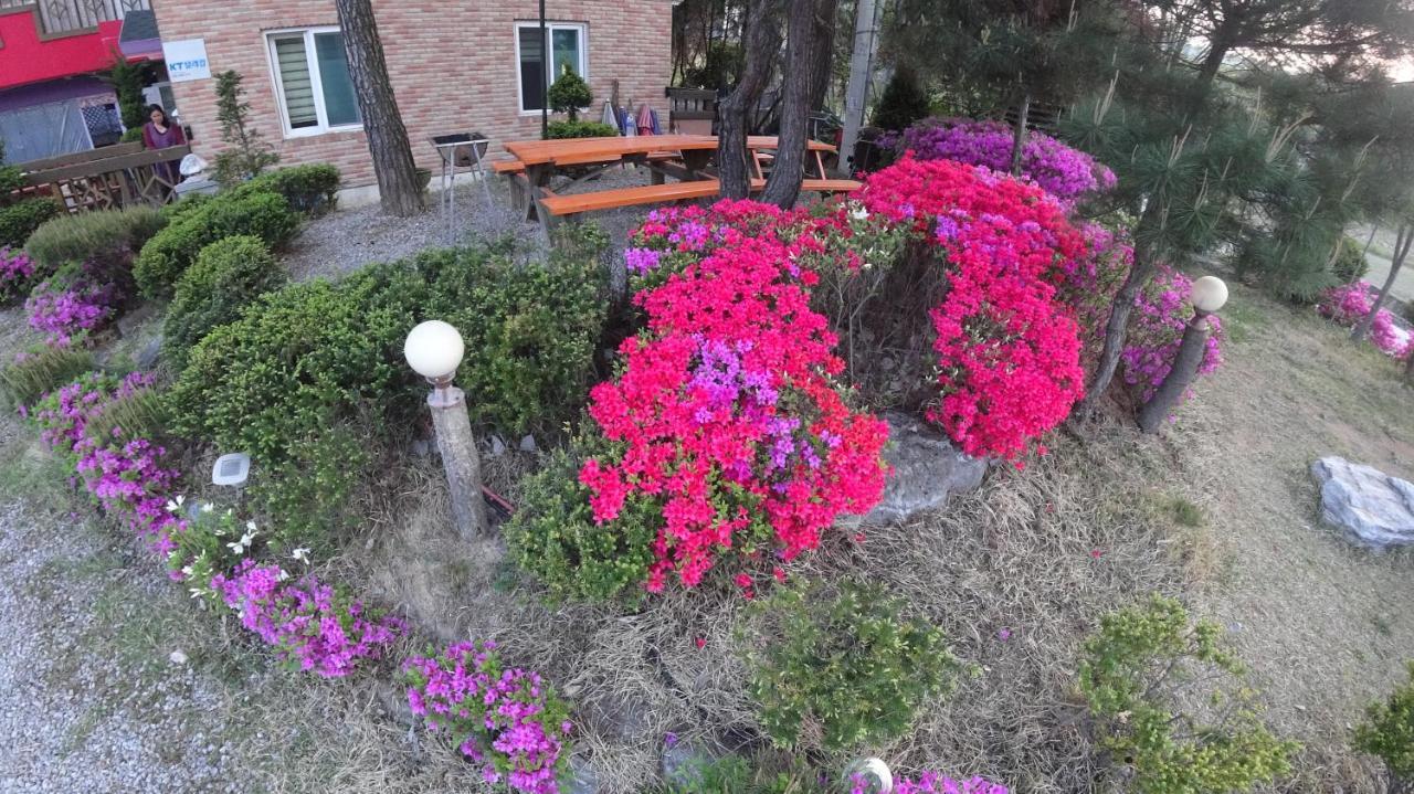 Yeowoogneul Pension Чхунчхон Экстерьер фото